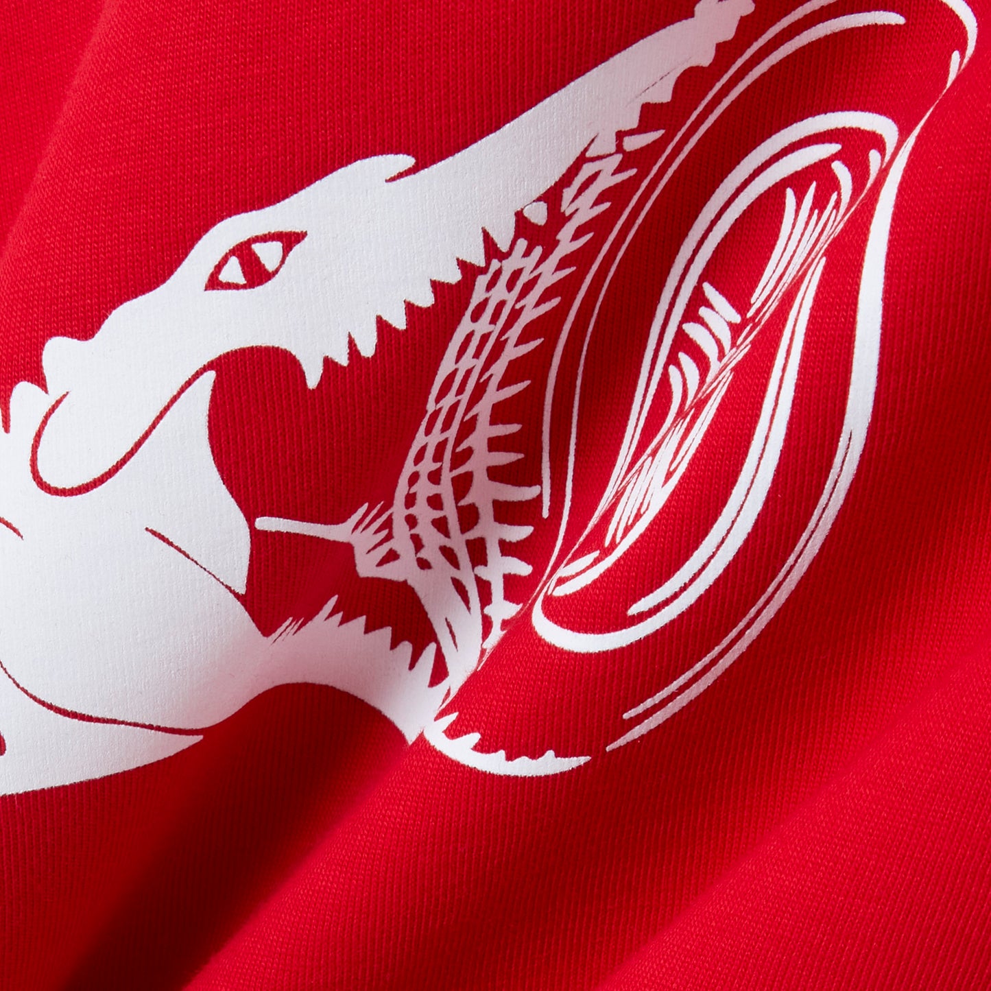 JERSEY GRAPHIC T-SHIRT - ALPINE X LACOSTE