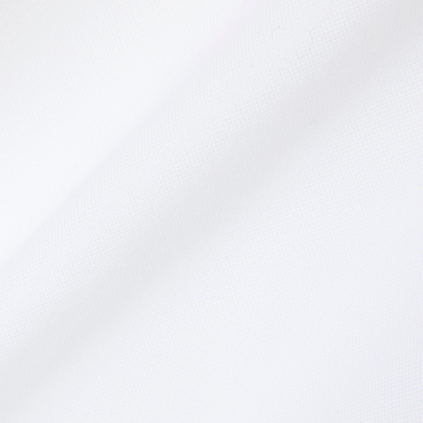 REGULAR FIT OXFORD SHIRT - ALPINE X LACOSTE